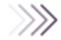 vector